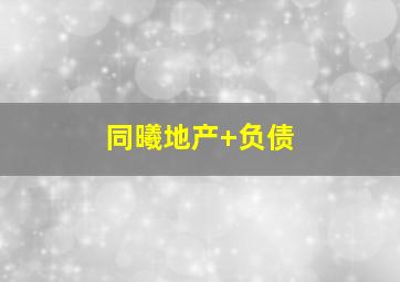 同曦地产 负债